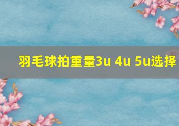 羽毛球拍重量3u 4u 5u选择